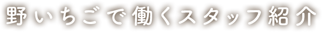 野いちごで働くスタッフ紹介