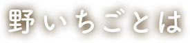 野いちごとは