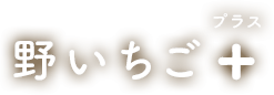 野いちご+